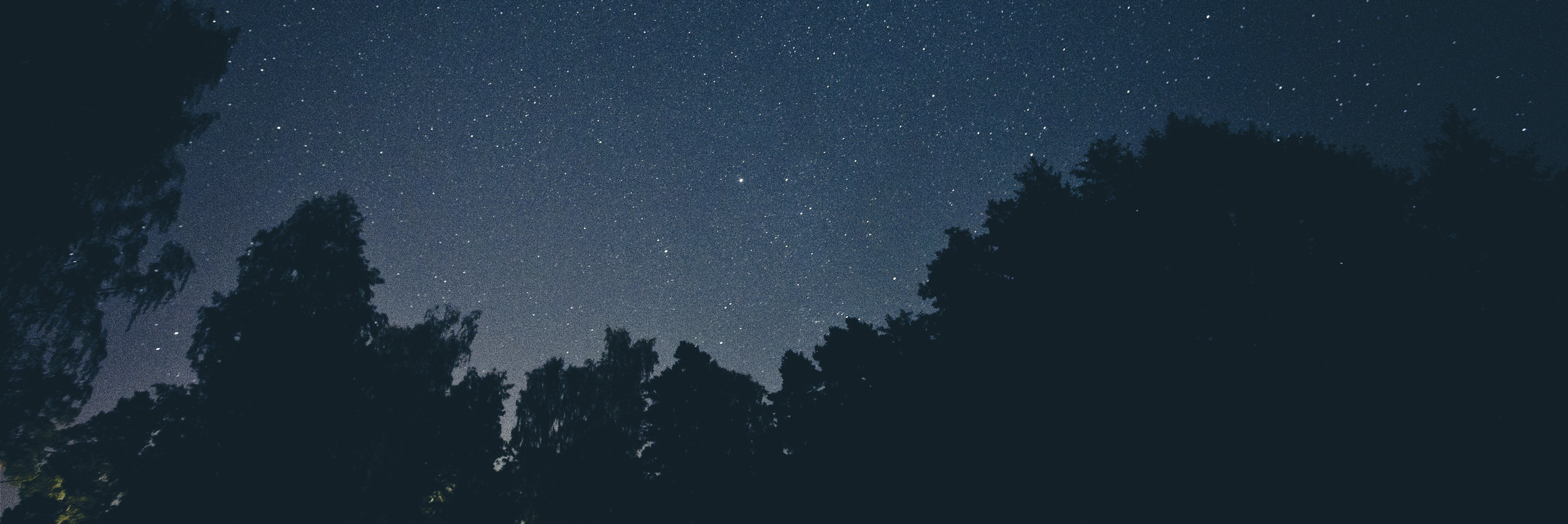 Night Sky
